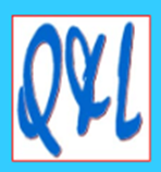 Q & L Logistics